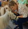 Zwergpony Pumuckl zu Besuch im St. Ludgerus-Haus